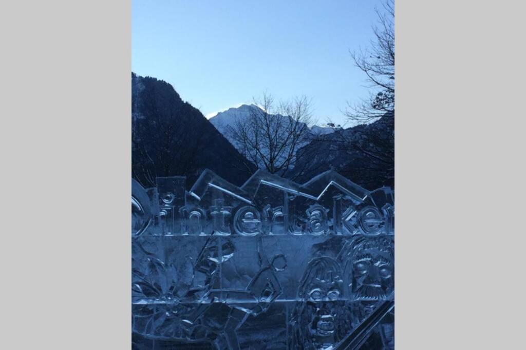 Zentral Gelegene Wohnung Mit Grossem Garten Interlaken Exteriér fotografie