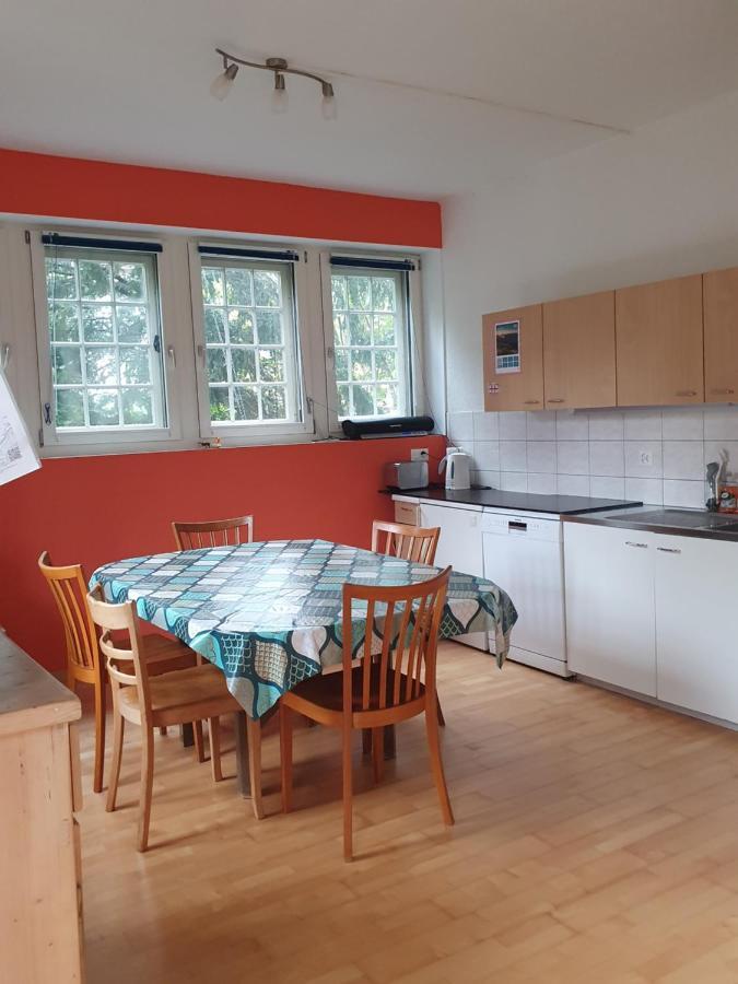 Zentral Gelegene Wohnung Mit Grossem Garten Interlaken Exteriér fotografie
