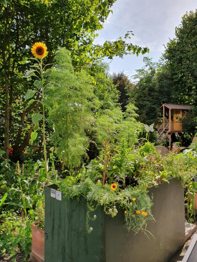 Zentral Gelegene Wohnung Mit Grossem Garten Interlaken Exteriér fotografie