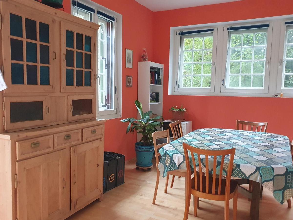 Zentral Gelegene Wohnung Mit Grossem Garten Interlaken Exteriér fotografie